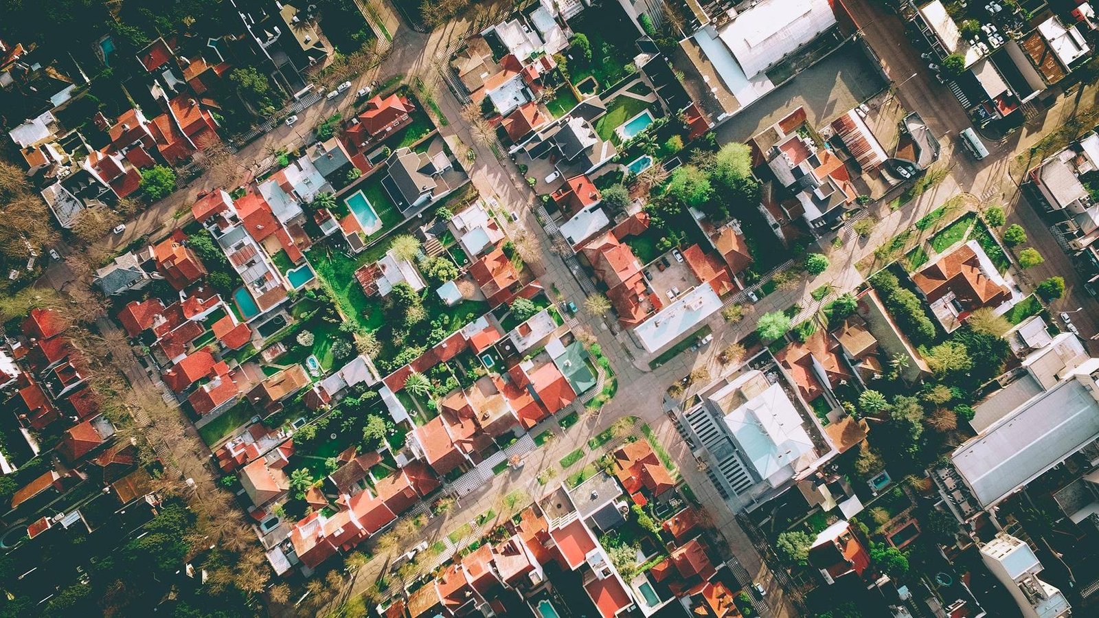 Low-rise homes set among mature tree cover